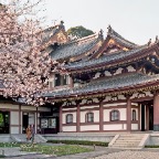 Japan Hase Dera Temple 4-3 