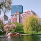 Boston spring 004-3 