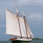 Boston Harbor Sailing